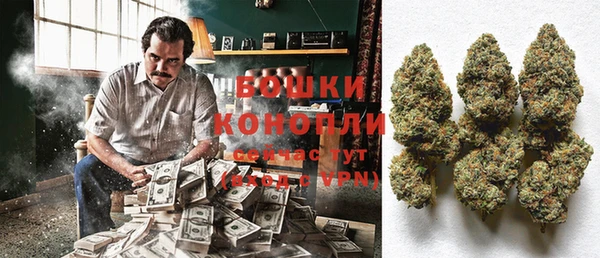 ПСИЛОЦИБИНОВЫЕ ГРИБЫ Медвежьегорск