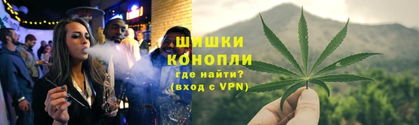эйфоретик Гусев