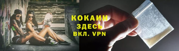 ПСИЛОЦИБИНОВЫЕ ГРИБЫ Медвежьегорск