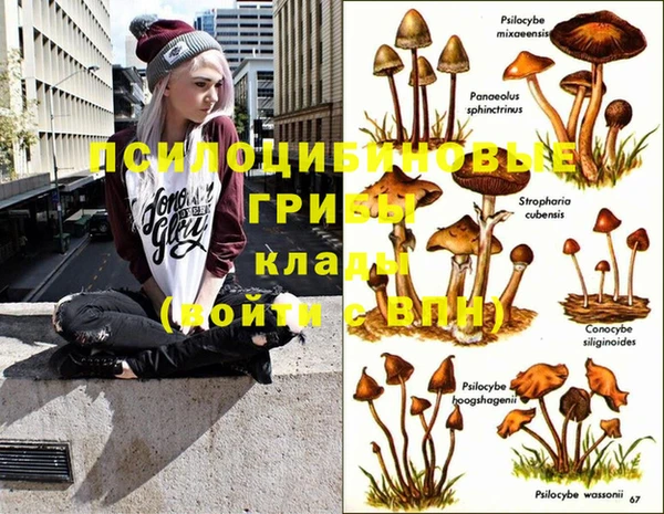 индика Алагир