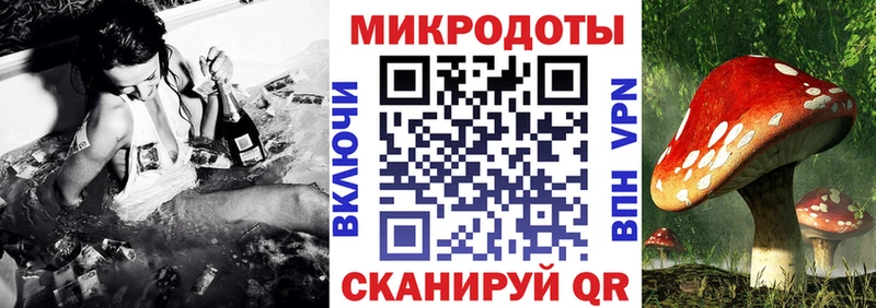 Псилоцибиновые грибы Cubensis  Донецк 