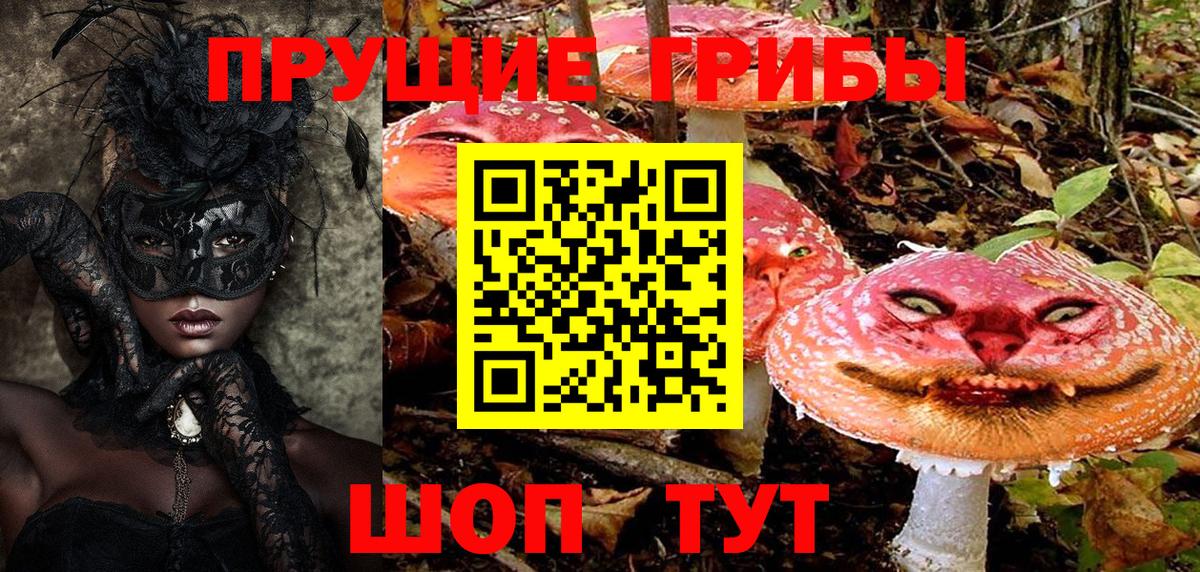 Донецк  Галлюциногенные грибы GOLDEN TEACHER  наркота  Вход с VPN 